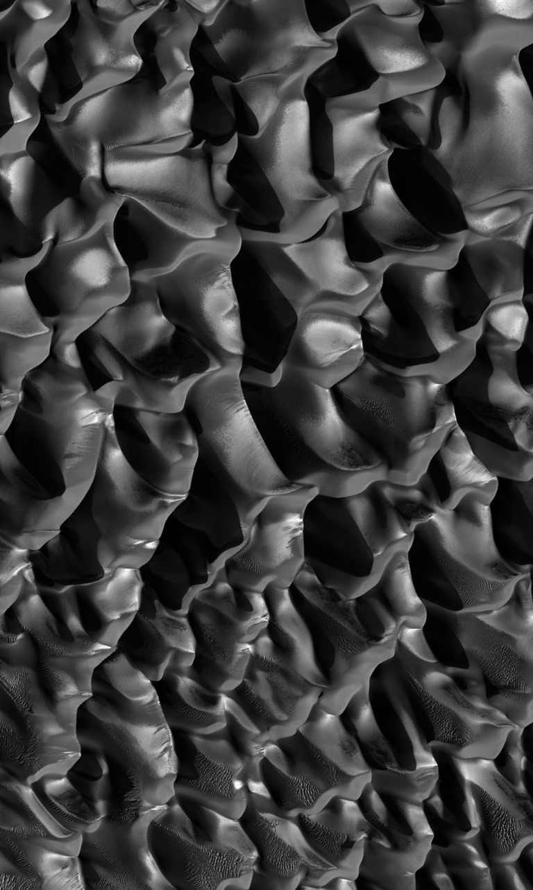 Dünenfeld im Proctor Krater