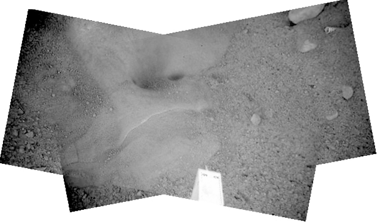 m�gliche Eisfl�che im Bereich 