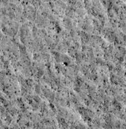 Viking Lander 1 in der Chryse-Ebene